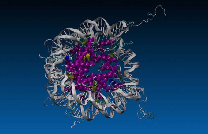 VMD visualization of a nucleosome
