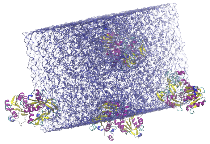 solvated alcohol dehydrogenase (ADH) protein in a rectangular box (134,000 atoms)