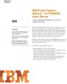 Icon of IBM PowerSystem S821LC